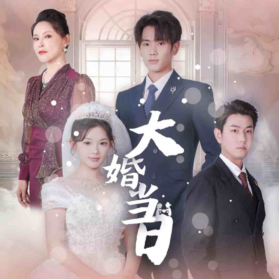 大婚当日第23集