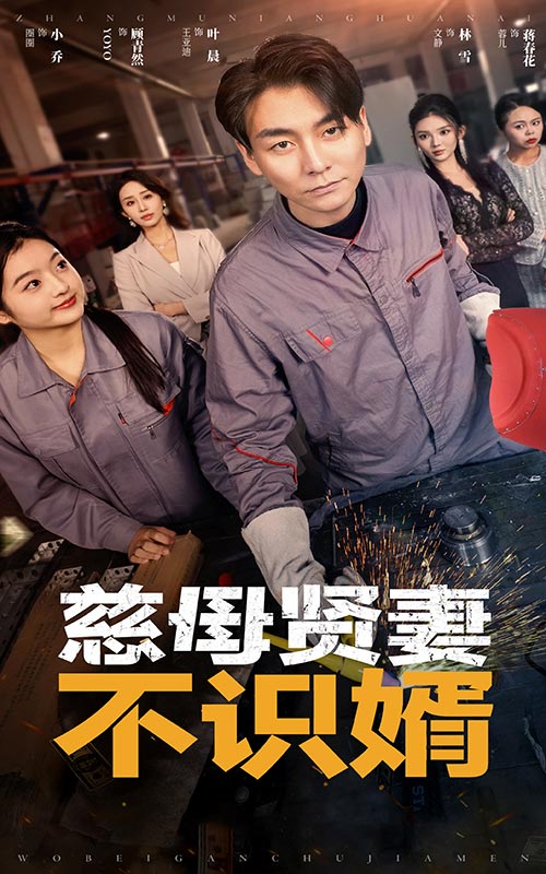 慈母贤妻不识婿第04集