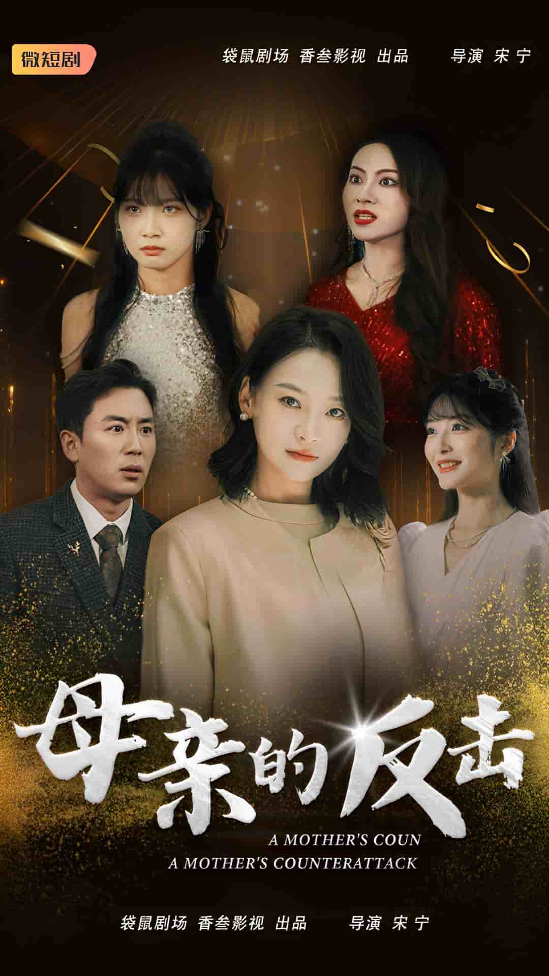 母亲的反击第13集