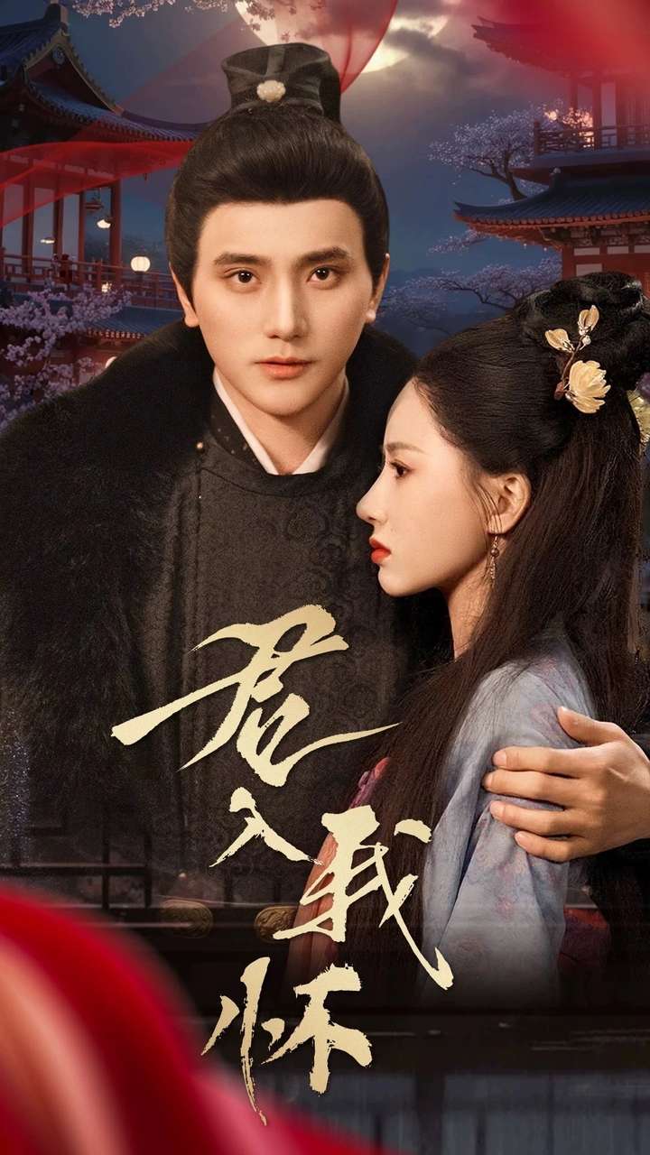 君入我怀第28集
