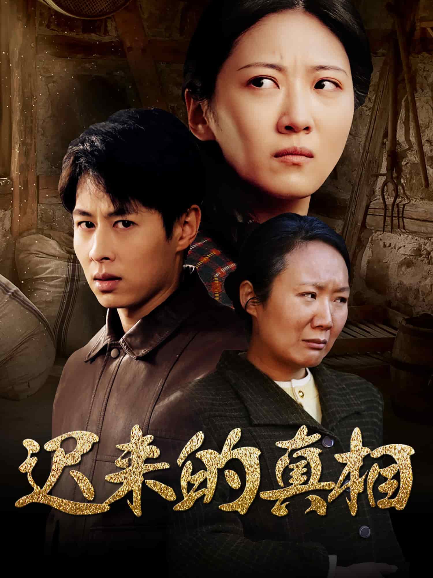 迟来的真相第47集