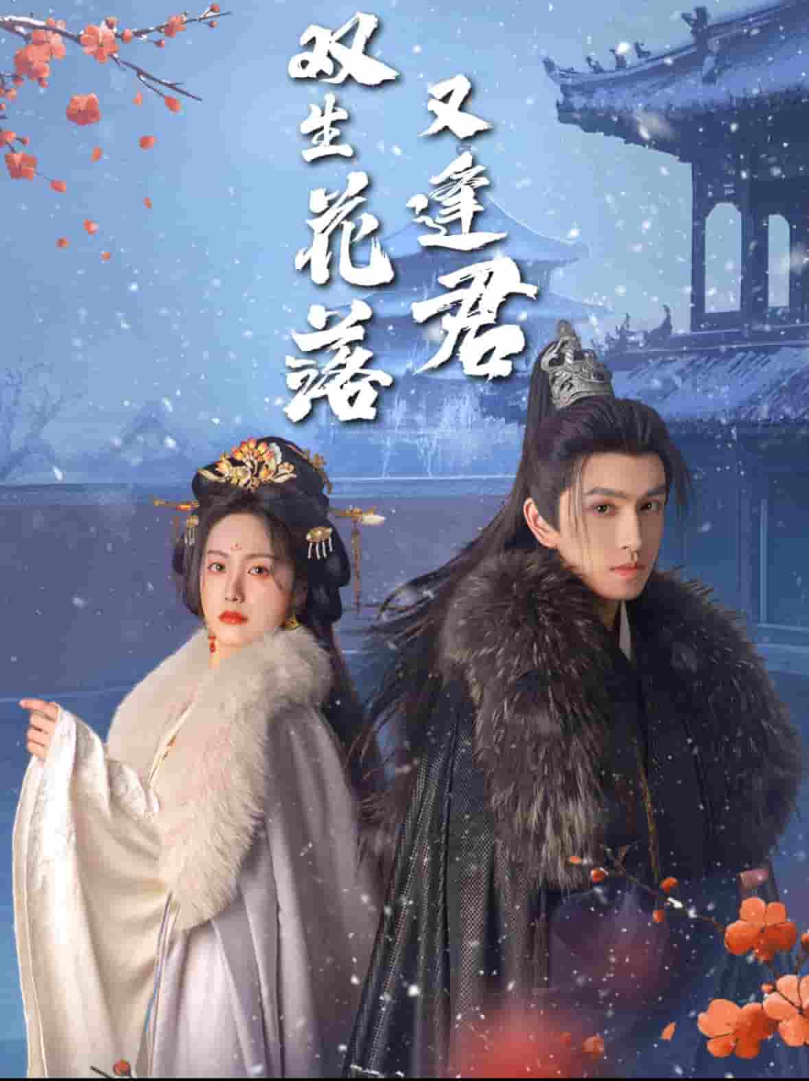 双生花落又逢君第26集