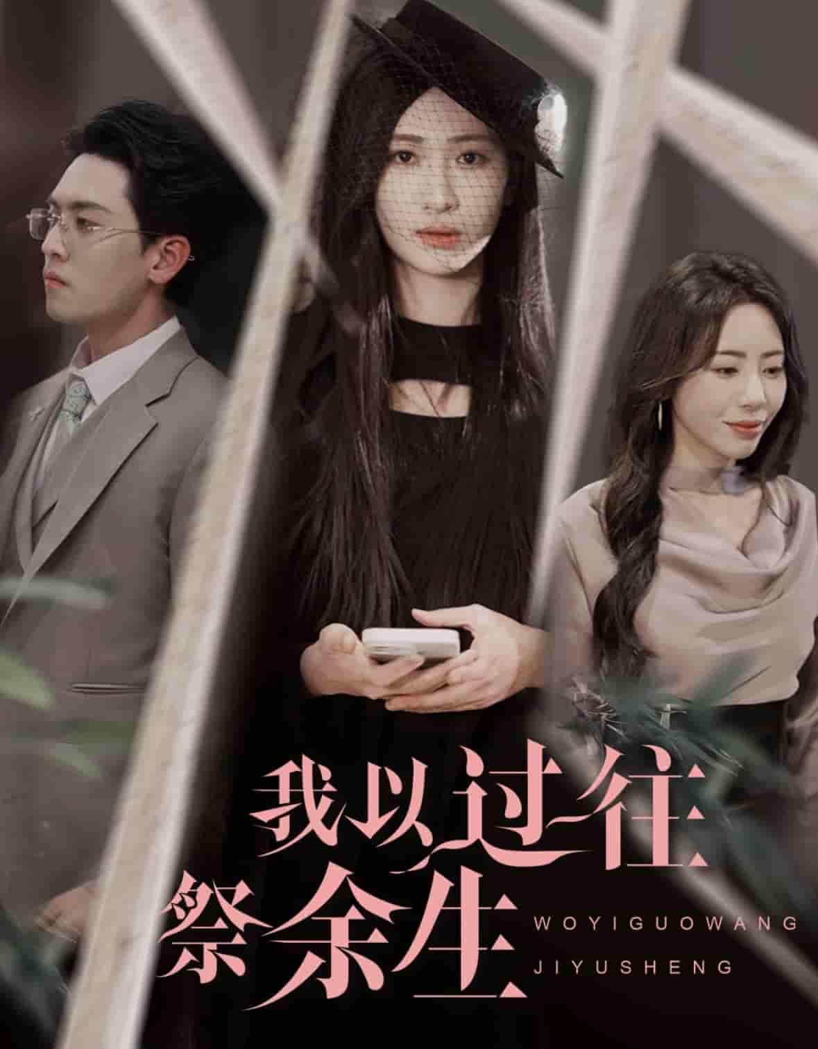 我以过往祭余生第24集