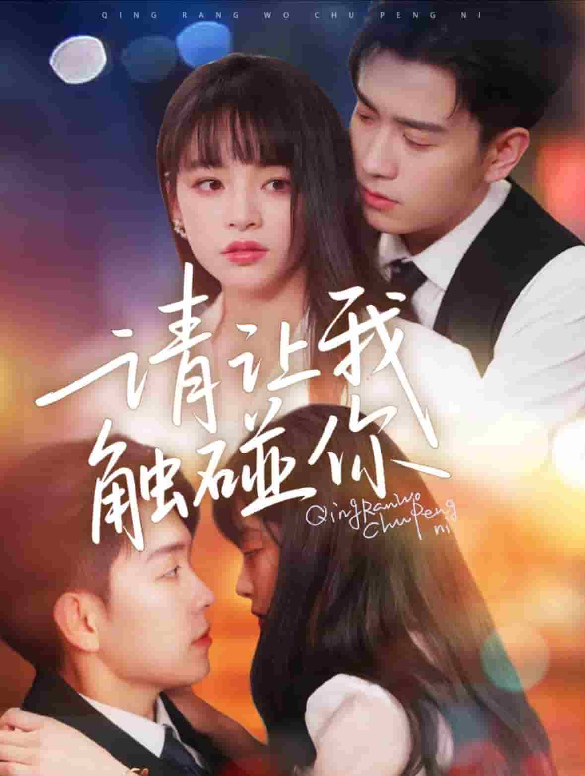 请让我触碰你第55集