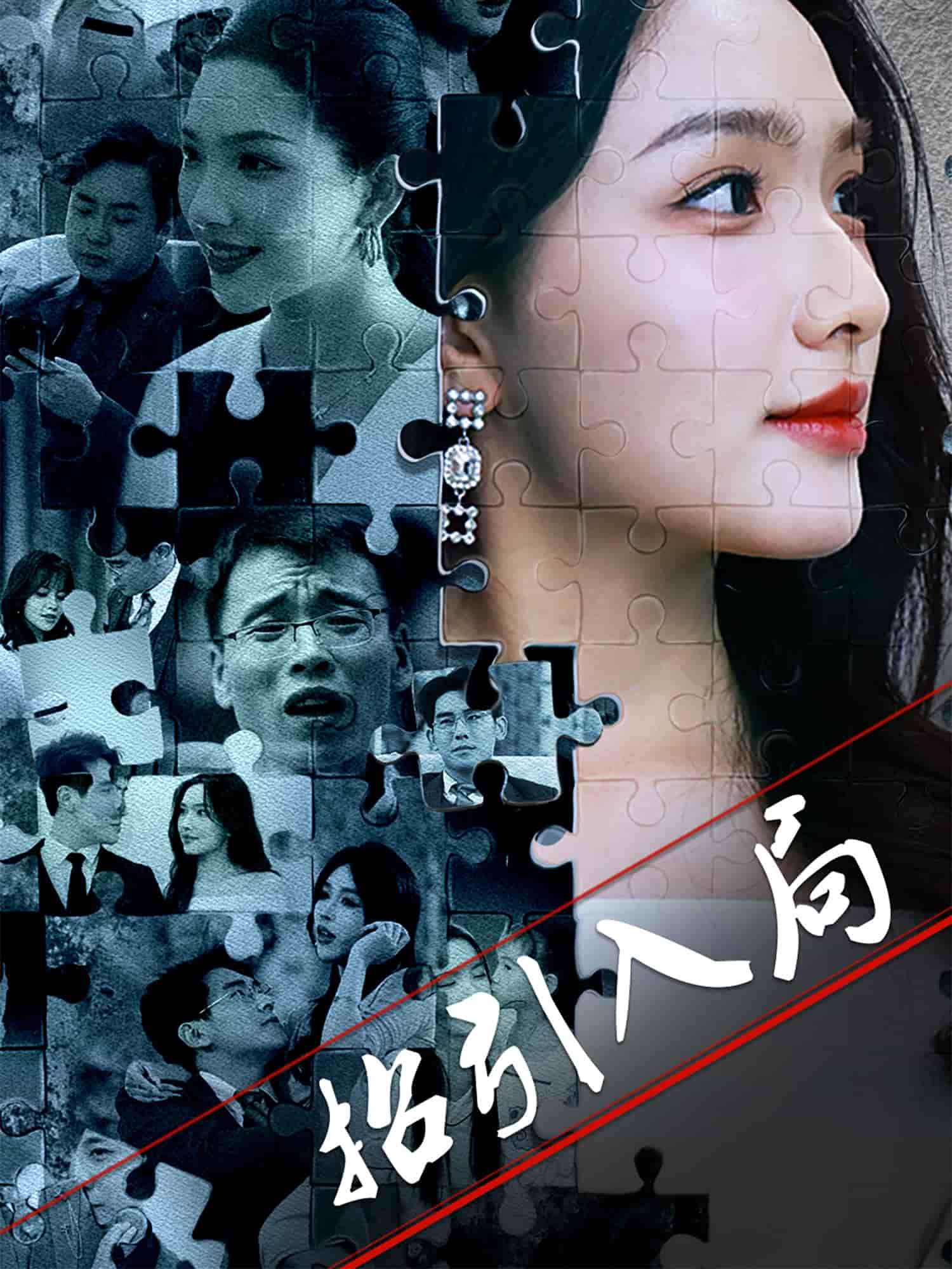 招引入局第7集