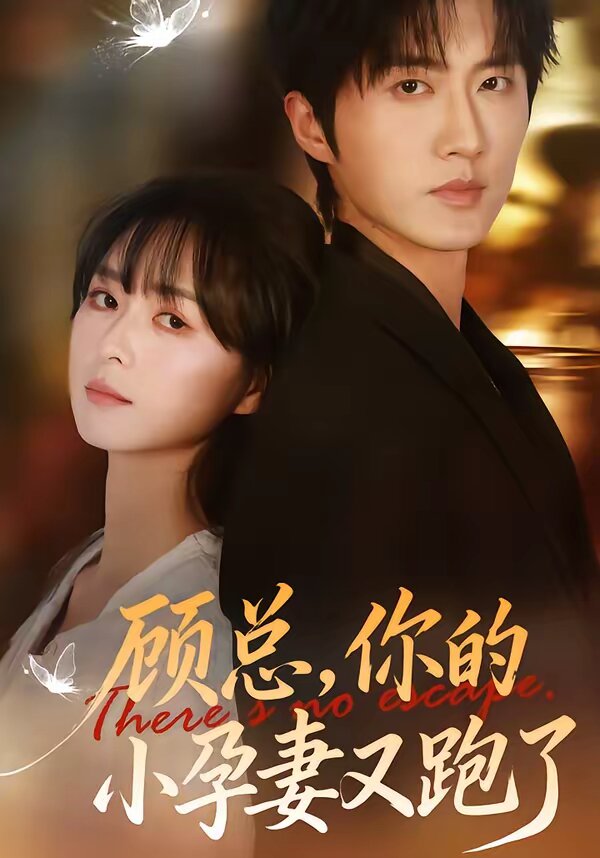 顾总，你的小孕妻又跑了(全集)